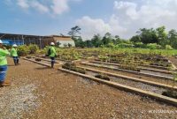 Salah satu titik pembibitan di Pulau Obi untuk persiapan reklamasi.