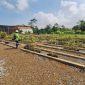 Salah satu titik pembibitan di Pulau Obi untuk persiapan reklamasi.